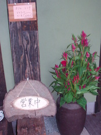 きょうの一花 ♪ 61