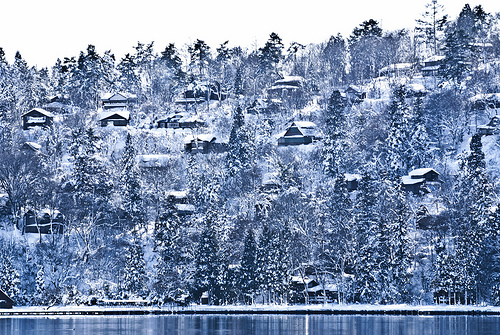 野尻湖の雪風景