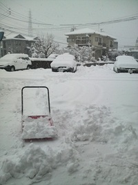 雪！雪！雪(^_^;)