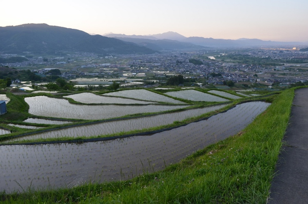 姨捨棚田 姨捨棚田