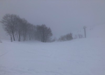 五竜・47スキー場へ ちょい重い新雪20cmほど