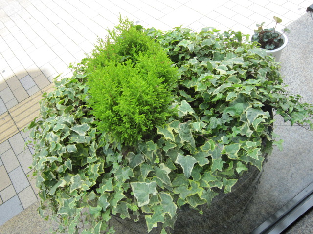 梅雨に羽織りもの