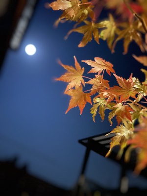 12月になりました! 12月になりました!