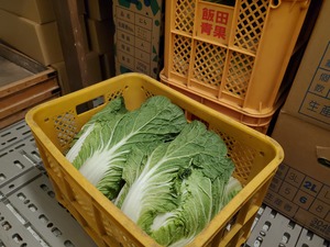 良い季節 良い季節