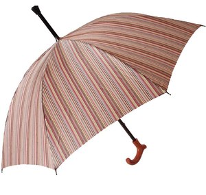 銀座の和装のお店「ぜん屋」さんの「つえ傘」をパソコン教室みっぷすで注文取ります。来週はサンプルも来るよ〜