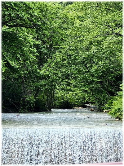 四万温泉:川魚料理《くれない》さん 四万温泉:川魚料理《くれない》さん