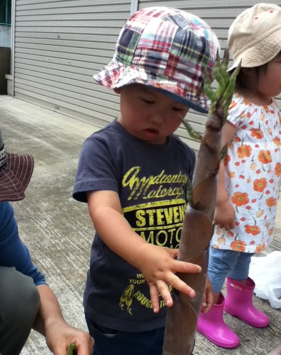 6月13日 親子で季節を味わう会がありました 6月13日 親子で季節を味わう会がありました