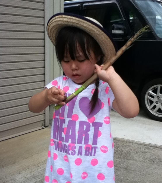 6月13日 親子で季節を味わう会がありました 6月13日 親子で季節を味わう会がありました