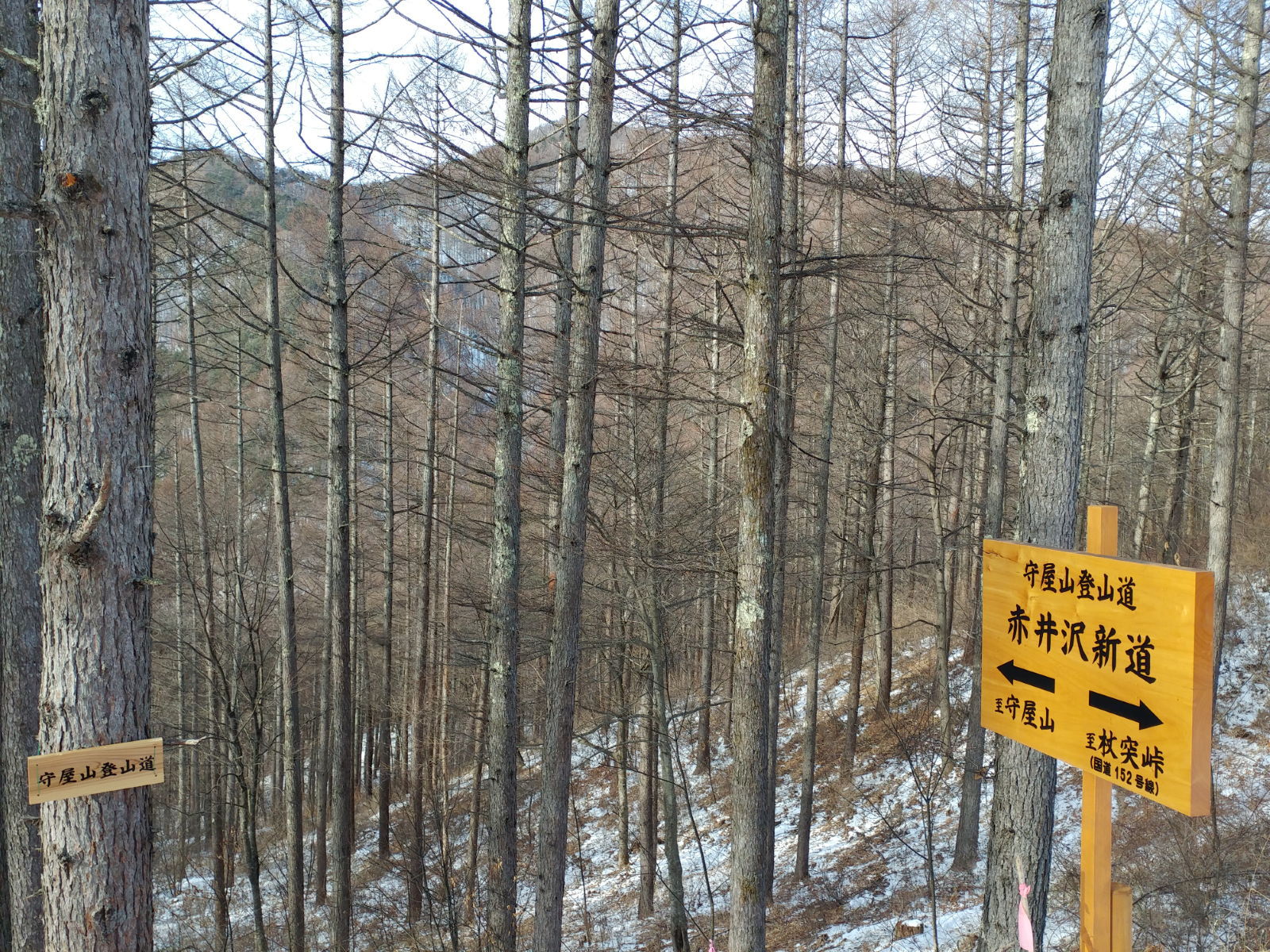 標高1631m雪の守屋山山頂から眺める八ヶ岳~北アルプス~中央アルプス~南アルプス360度の絶景&ホットウイスキー白州 標高1631m雪の守屋山山頂から眺める八ヶ岳~北アルプス~中央アルプス~南アルプス360度の絶景&ホットウイスキー白州