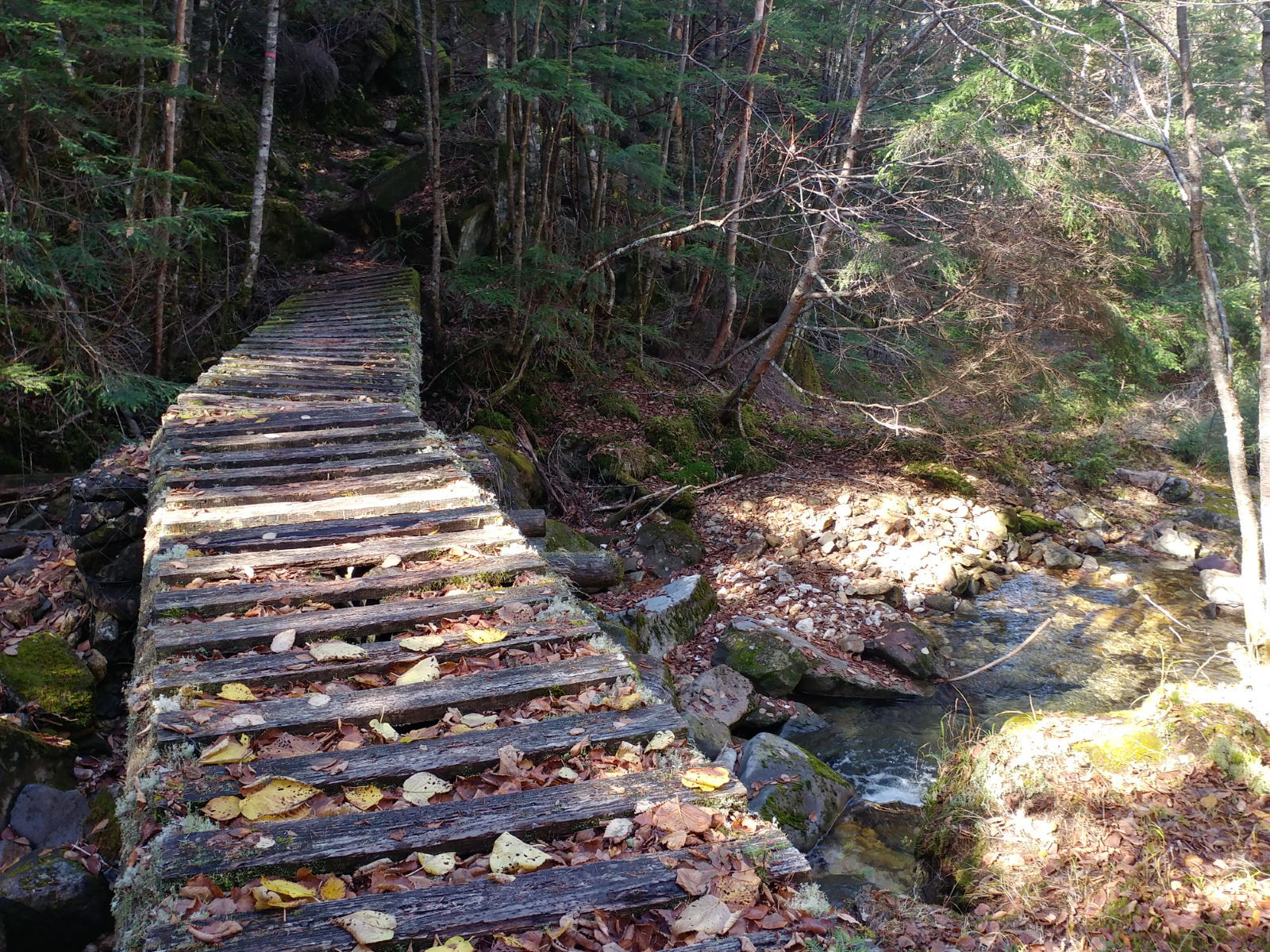 高見石小屋名物揚げパン&きのこ汁 @北八ヶ岳登山&グルメ 高見石小屋名物揚げパン&きのこ汁 @北八ヶ岳登山&グルメ