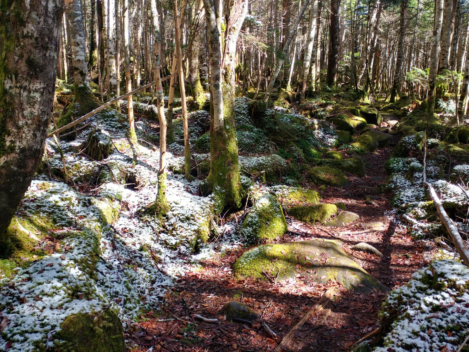 高見石小屋名物揚げパン&きのこ汁 @北八ヶ岳登山&グルメ 高見石小屋名物揚げパン&きのこ汁 @北八ヶ岳登山&グルメ
