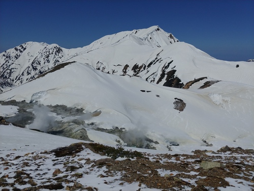 白い雷鳥との遭遇　標高2,450m北アルプス室堂平雪山トレッキング