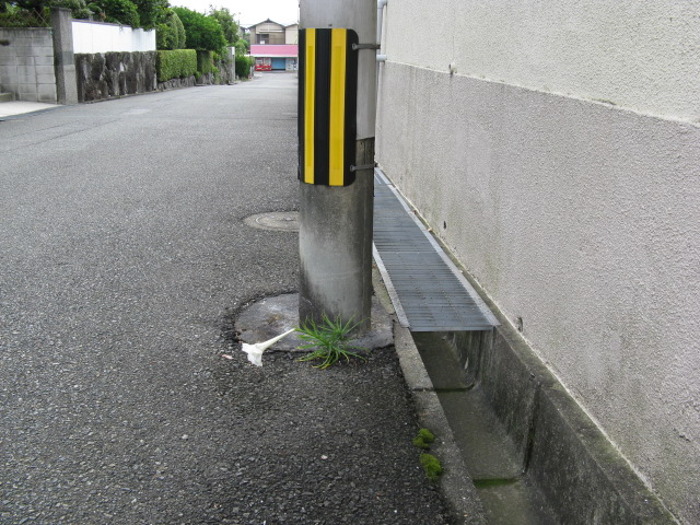 ど根性!白百合