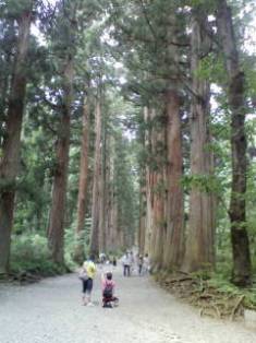 戸隠神社~奥社へ~