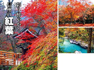 おいでやす信州