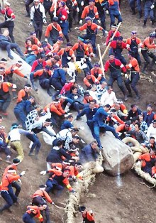 御柱祭はじまりました!
