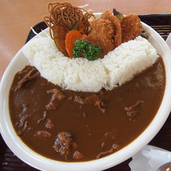 黒部ダムカレー食べたぞ~!(明日香荘その2編)