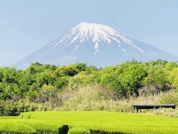 天気が良ければ 富士山は 素人でも 綺麗に撮れる ☆ 天気が良ければ 富士山は 素人でも 綺麗に撮れる ☆