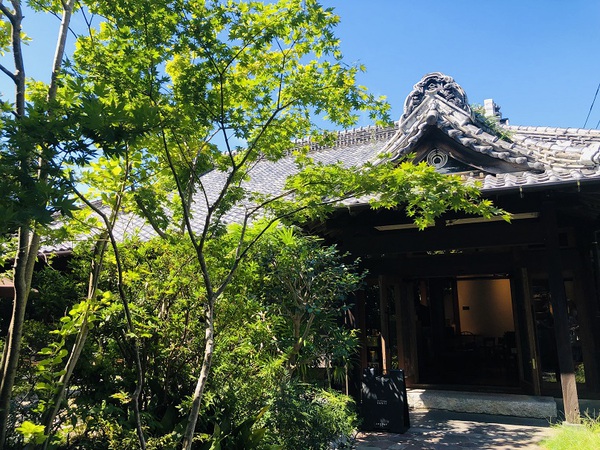 土肥温泉　と　富士宮　～　グルメ