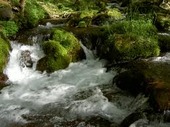水の地産地消(水は誰のもの-その2)