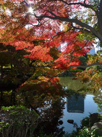 日比谷公園 紅葉