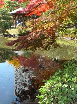 日比谷公園 紅葉