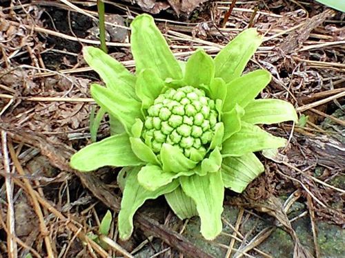 強命水 活 の長野県諏訪の味覚