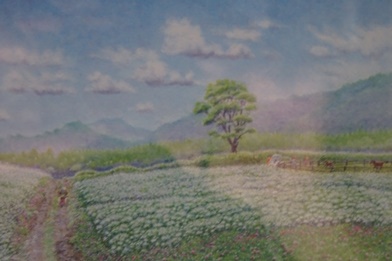 ナラの木の台地 ナラの木の台地