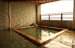 星川館 /湯田中 星川館 /湯田中