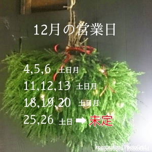 12月のお休みといきなりの「冬」 12月のお休みといきなりの「冬」