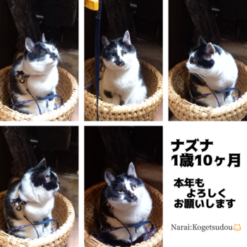 2024,始動しております 2024,始動しております