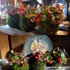 紅葉とパウンドケーキ型と菊の苔玉を 紅葉とパウンドケーキ型と菊の苔玉を