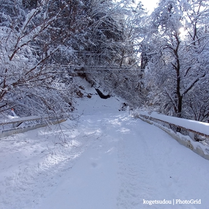今年・・・・雪、ある 今年・・・・雪、ある