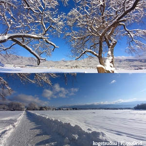 雪 雪