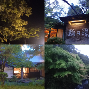 ・・・・・・・何でかな(笑) ・・・・・・・何でかな(笑)
