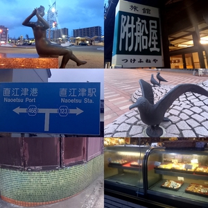 シラサギカヤツリ シラサギカヤツリ