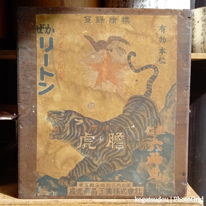 今年・・・・雪、ある 今年・・・・雪、ある