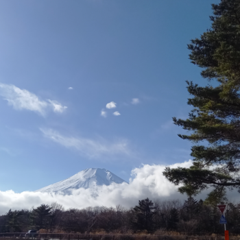 年末年始の営業のお知らせ 年末年始の営業のお知らせ