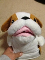 チャッピー