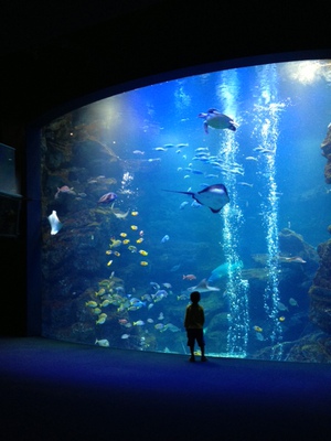 京都水族館