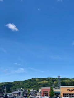 緑がいっぱい