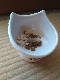 猫も人も頑張ったらご褒美を