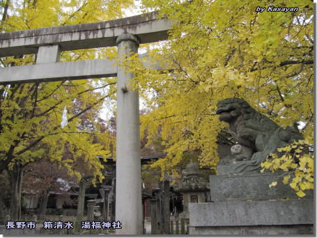 雨の日曜、雨の降り方は非常に複雑(11月6日)