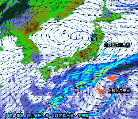 週末の天気は荒れ模様、明日からゆっくり下り坂(10月19日)