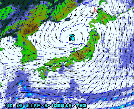 乾燥した晴天へ、一週間は高温傾向続く(11月1日)