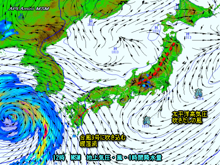 台風9号黄海へ、猛暑とゲリラ雷雨は?(8月7日)