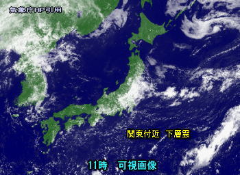 天気予報は当たるのか?(8月19日)今日の夕立は激しい?
