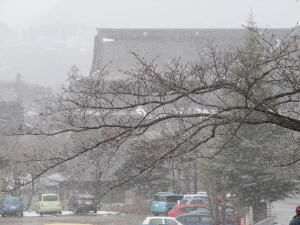 善光寺節分会の雪は謎の雪(2月3日)