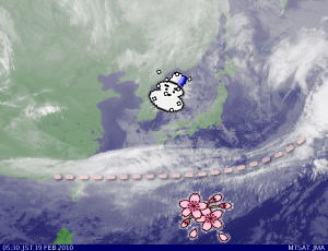 天気予報は当たるのか?(2月19日)