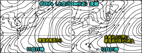 天気予報は当たるのか?(8月11日)台風情報(台風4号)